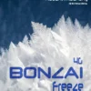 Bonzai Freeze 4G Räuchermischung